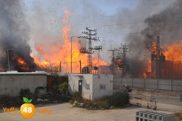 fireludkartoonmasna34 (11).JPG